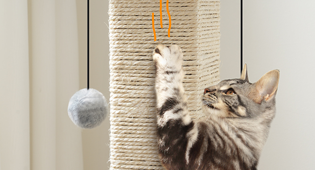 28.3" Ψηλή δημοσίευση γρατζουνιών γάτας, ΚΑΤΑΡΤΗΜΑΤΑ ΣΥΓΓΡΑΦΕΣ ΓΙΑ ΕΝΩΣΕΙΣ Γάτες, Sisal Cat scratcher πύργος με κρέμα μπάλα για μεγάλες γάτες, Ψηλά έπιπλα γρατσουνίζει τη δραστηριότητα της γάτας, ελληνικά