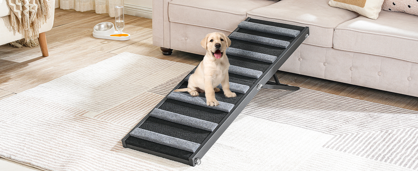 dog ramp