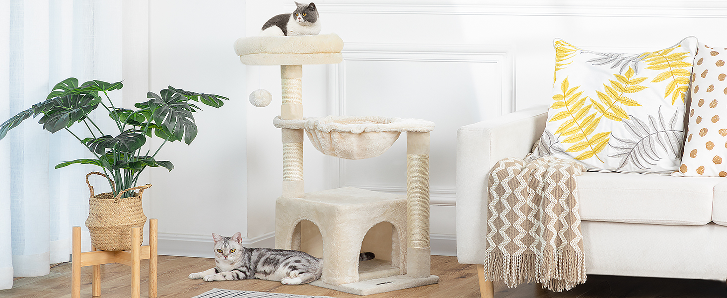 شجرة القط الصغيرة