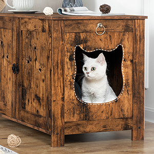 68أسلحة كيميائية-01