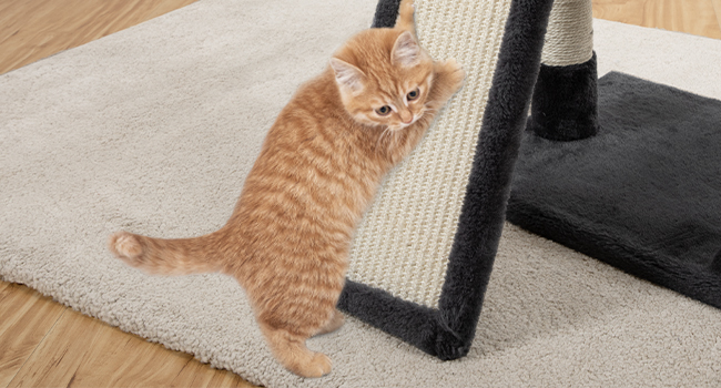 Cat Baum, Kleng Kaz Tower mat mëllen Plush Perch, Fir Indoor Kitten, 34.6-Zoll 3-Tier Cat Condo Miwwel mat Scratching Posts, Mat Anti-Tipps, Staark