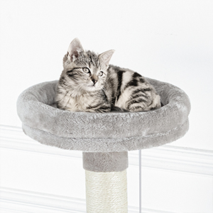 enclos pour bac à litière avec tour d'arbre à chat